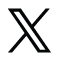x-icon